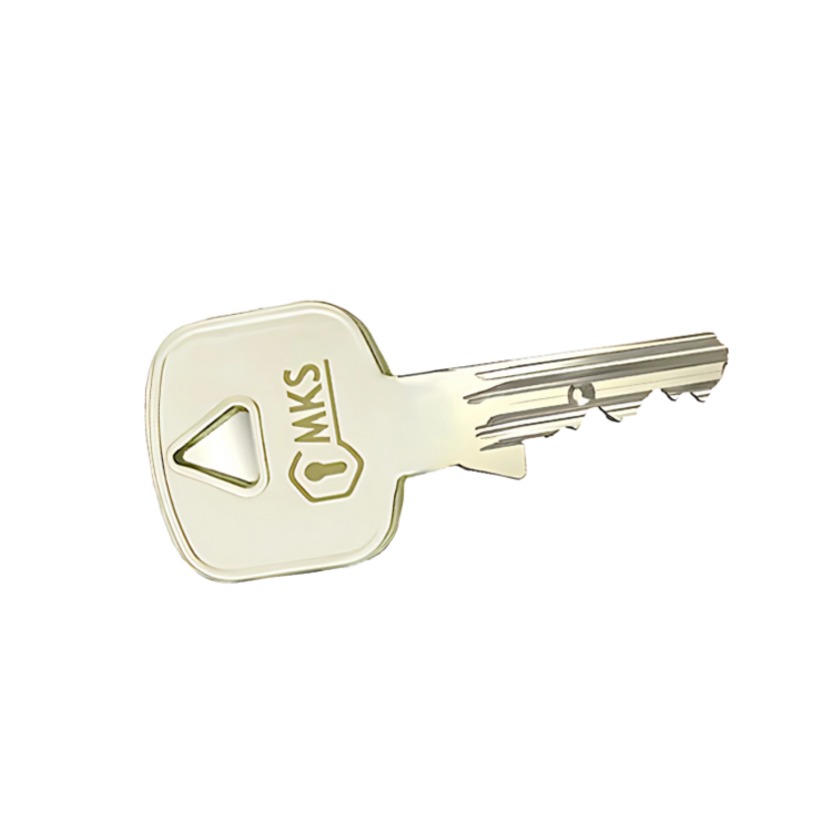 Axis Guard işlenmiş metal başlıklı anahtar - 1