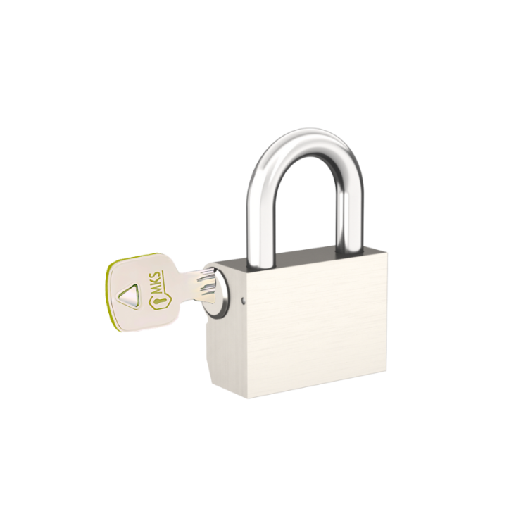 Master Sistem Asma Kilit 45 mm Satın Alın - 1